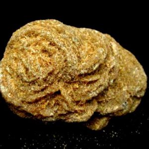 Rose des Sables