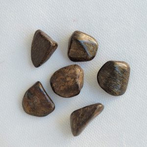 Bronzite