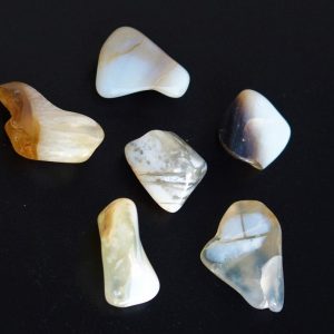 Opale – Image 2