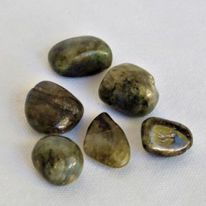Spectrolite