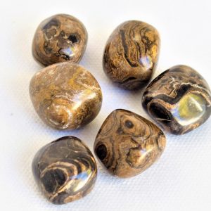Stromatolite