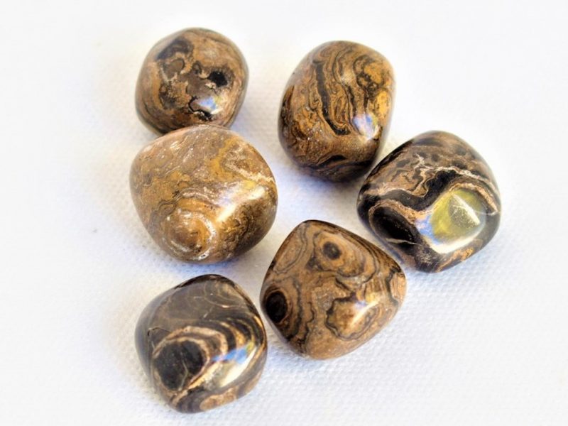 Stromatolite