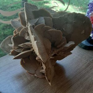 Rose des Sables – Image 2