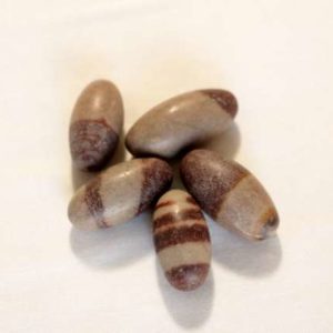 Œuf Shiva Lingam