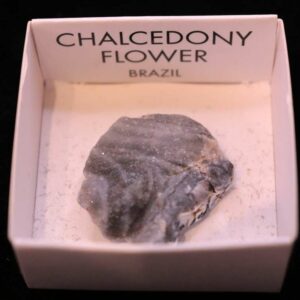 Fleur de Calcédoine – Image 2