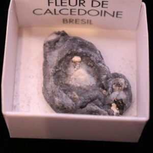 Fleur de Calcédoine