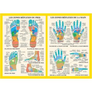 Planche Zones réflexes de la main et du pied