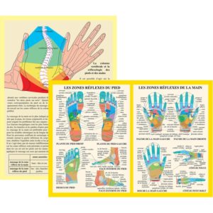 Planche Zones réflexes de la main et du pied – Image 2
