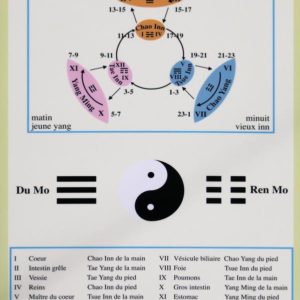 Planche Méridiens Chronobioenergetica