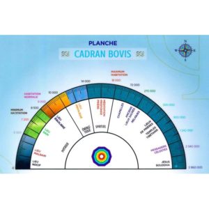 Planche Cadran Bovis et Énergie Vitale