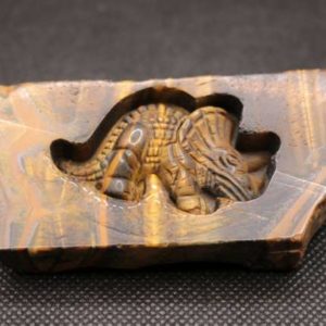 Dinosaure Œil de Tigre
