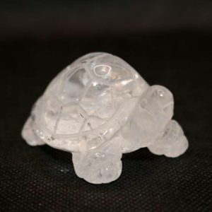 Tortue Cristal de Roche