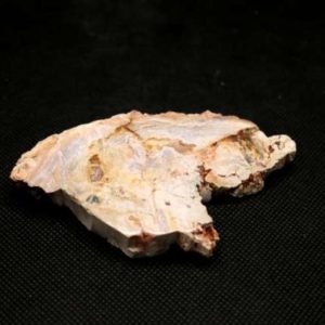 Bois Fossile 79 g