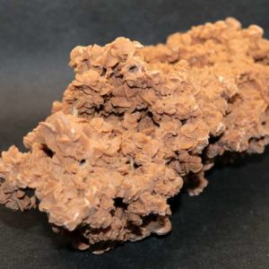 Rose des Sables 914 g – Image 2