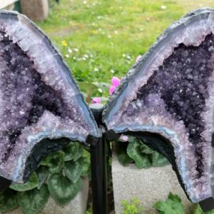 Améthyste Ailes de Papillon – Image 2