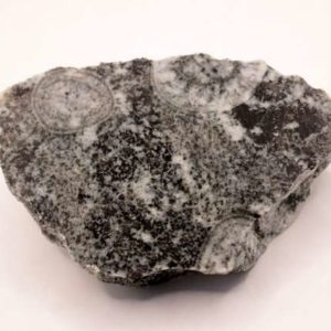 Diorite Orbiculaire 190 g