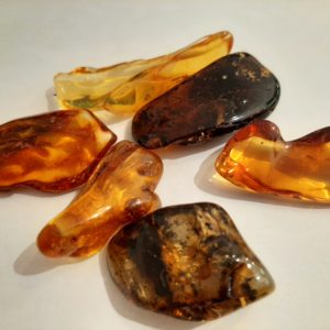 Ambre