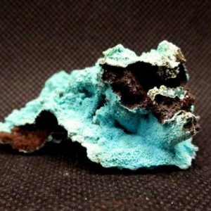 Pseudomorphose d'azurite en chrysocolle – Image 5
