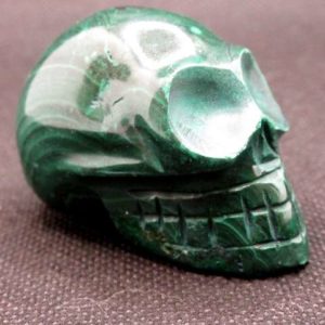 Crâne Malachite – Image 2