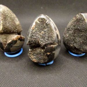 Petit Œuf Septaria