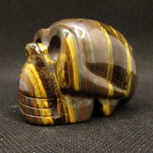 Crâne Oeil de Tigre