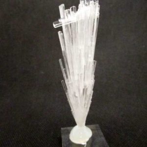 Scolécite