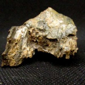 Bois Fossile 91 g – Image 4