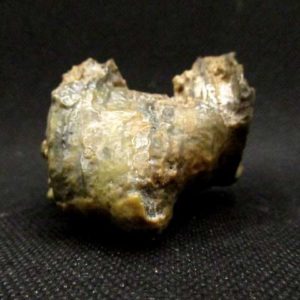 Bois Fossile 91 g – Image 6