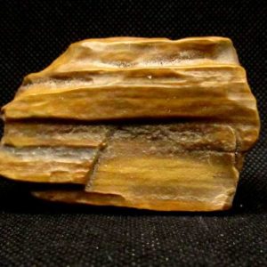 Bois Fossile 105 g