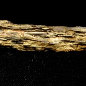Bois Fossile long 286 g – Image 4