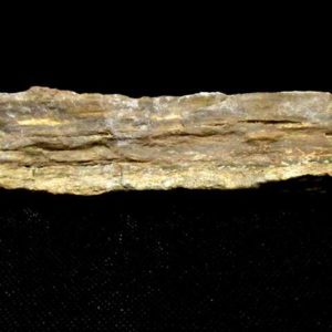 Bois Fossile long 286 g – Image 3