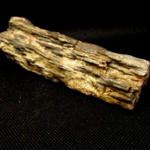 Bois Fossile long 286 g