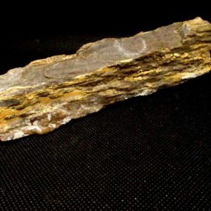 Bois Fossile long 286 g – Image 2