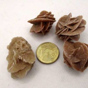 Rose des Sables – Image 2