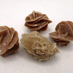 Rose des Sables