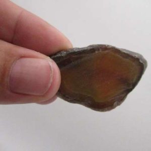 Tranche Agate Epaisse – Image 6
