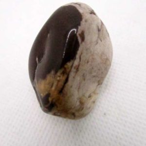 Jaspe Zèbre – Image 2