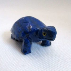 Tortue Lapis Lazuli