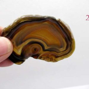 Tranche Agate 5.5 – Image 5