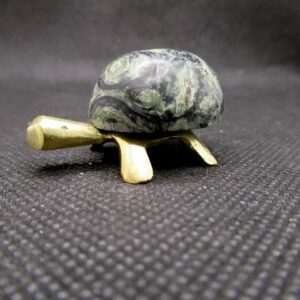 Tortue Jaspe Kambaba (MM) – Image 3