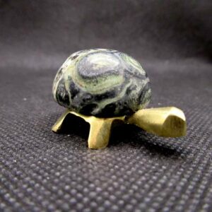 Tortue Jaspe Kambaba (MM)