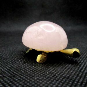 Tortue Quartz Rose (GM) – Image 4