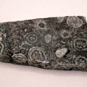 Diorite Orbiculaire 459 g