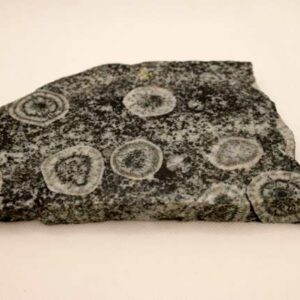 Diorite Orbiculaire 591 g