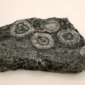 Diorite Orbiculaire 352 g