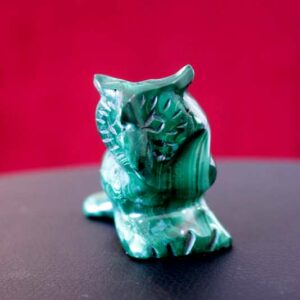 Hibou Malachite – Image 5