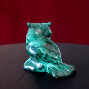 Hibou Malachite – Image 3