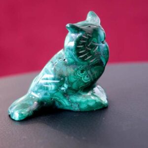 Hibou Malachite – Image 2