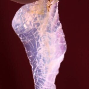Opale Oregon 1 – Image 2