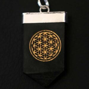 Pendentif Shungite Fleur de Vie